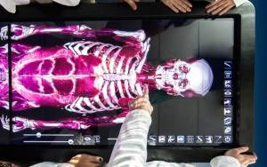解剖虚拟解剖台，使谢南多卫生专业学生更容易了解身体.